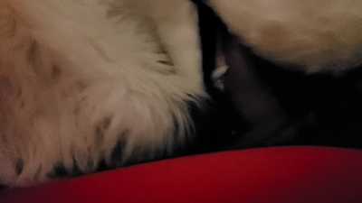 Some licky licky