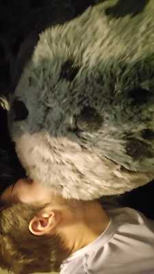 Cleaning Out A Dirty Hyena's Hole