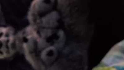 Wuff wanding himself