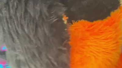 Shadow rails Kuden with a wearable 