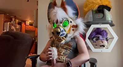 Hyena finds a Toy