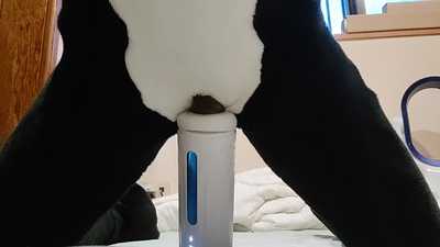 Milking Dog