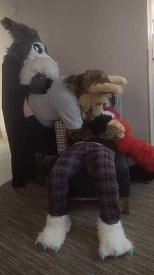 Fox and Sergal Shenanigans ๐