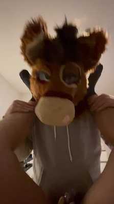 POV: You're caged and helpless as the donkey rails you.