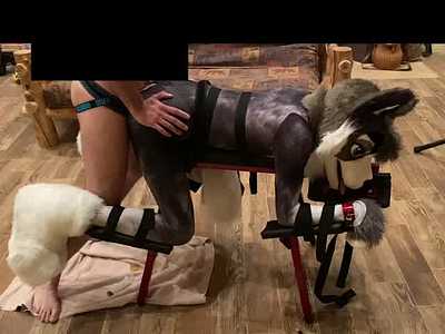 Kodie Wusky is filled with eggs and then bred deep.