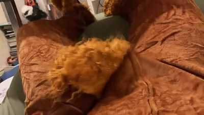 Pawing off in a brand new lion onesie.