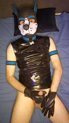 Puppy plays with his bone, in latex/rubber