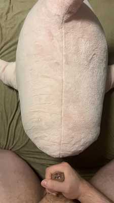 Sharkess gets a facial for nursing her sick owner!