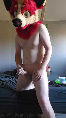 Deer Masturbating For You