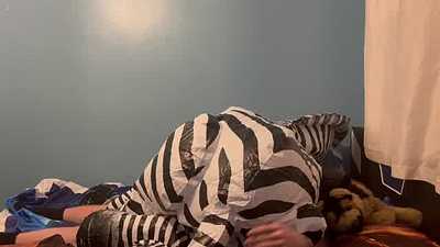 Free vid. Zebra mouth inflation and humping.