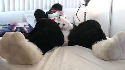 Jamie Sharp - Solo Afternoon Pawing Session