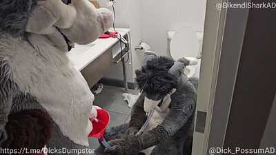 Dick Possum Feeds the Shark