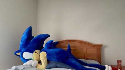 Sonic humps his pillow