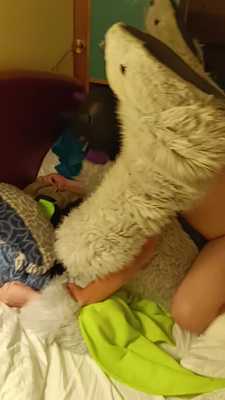 Shadowwolf breeds Baxter 4 times (UNCUT)