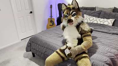 A sheppy humps his toy!