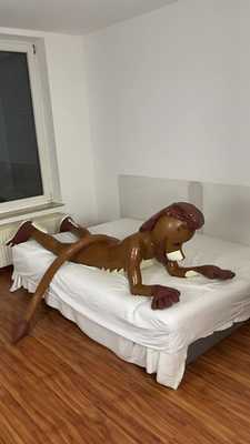 The lion with the inflatable paws