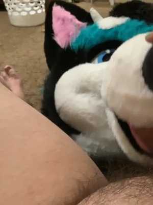 Femboy murrsuiter makes murrsuit head suck cock