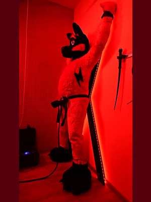 Playful wolf milked in bondage