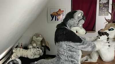 Who's in charge now?