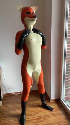 Orange fox presenting herself