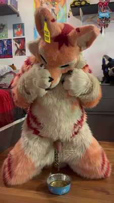 Muzo Fox was thirsty so i had to fill up my bowl