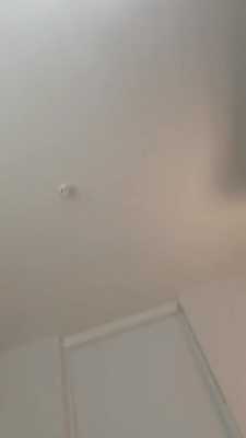 Xero_Fox massagers my prostate >~<