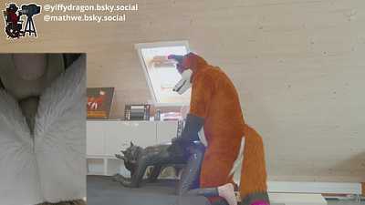 No Turning Back: Condom Break, Fox Stays In