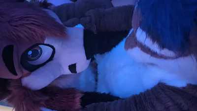 Battercake battering Ripner's cake