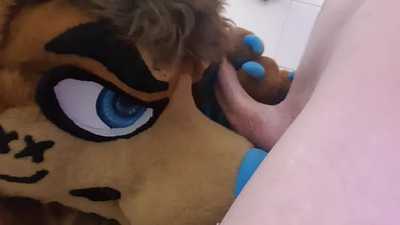 Thirsty wolf gives himself a drink and then get some more ~