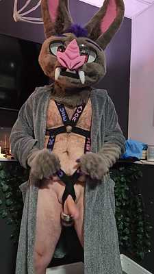 Weighted Harness Tug P1