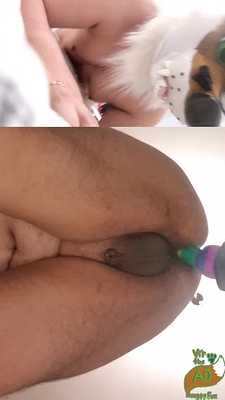 Vír the Fox Celebrates Another Hump Day