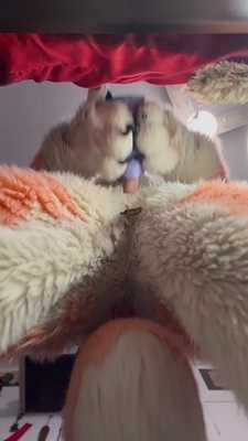 I realy need a real maw to take care of my cute little foxtoy cock … 