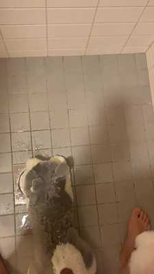 Pissing my husky plush ;3