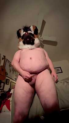 A Glimpse into a Wild Dog’s Evening Edging Session