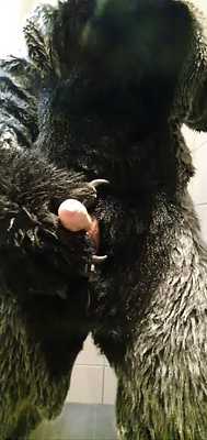 Releaving myself of a full blader