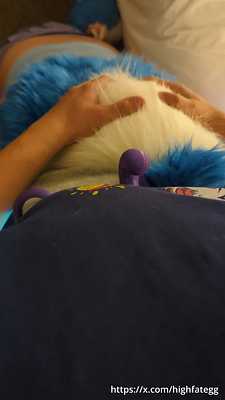 Eggie gets a load of kitties from Aprous