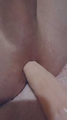 Femboy Sergal gets anal training~