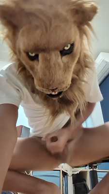 Lion is cumming
