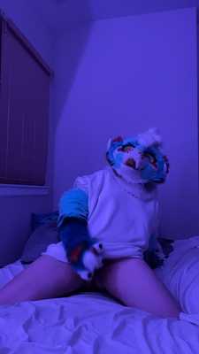 Amon pawing off in bed