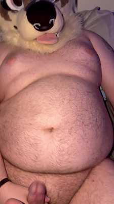 big dawg is back in town