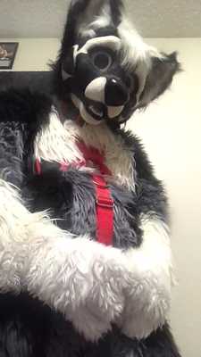 Early Mornin’ Jerking