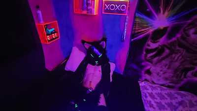 Alleycat finds new toy