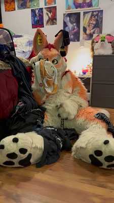 Foxtoy fapping while sniffing undies🦊❤️🩲