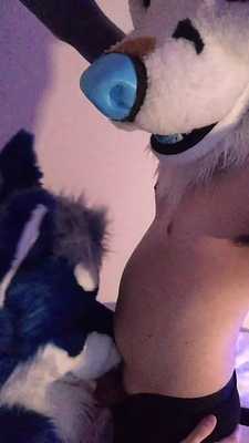 Lapis and Xero muzzle service 