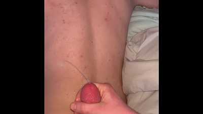 Poor Fox gets stretched by massive seal