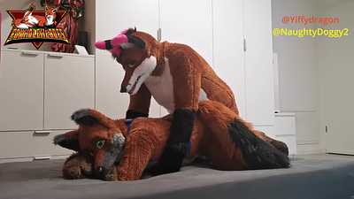 Grab a fox and breed him