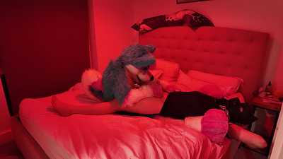 Furry and Pup having a bit of bedroom fun
