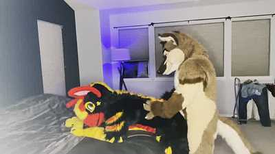 Inferno gets fucked by big dick coywolf<3