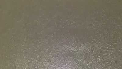 Femboy make murrsuit head suck it