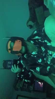 YinPawDoggo 🐶 And his hubby Paw Christmas cookie 🍪 1